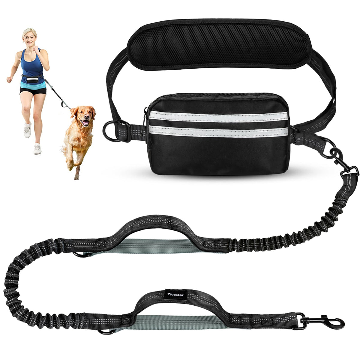 Pack & Pine TrailRunner hands-free bungee dog leash with waist belt