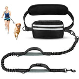 Pack & Pine TrailRunner hands-free bungee dog leash with waist belt