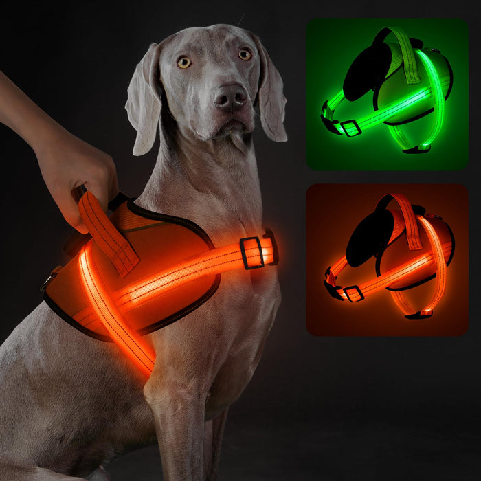 Nightglow LED Harness — Walk