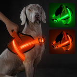 Nightglow LED Harness — Walk