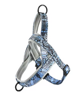 Everyday Adventure Dog Harness — No-Pull & Adjustable