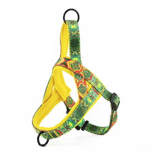 Everyday Adventure Dog Harness — No-Pull & Adjustable
