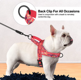 Everyday Adventure Dog Harness — No-Pull & Adjustable