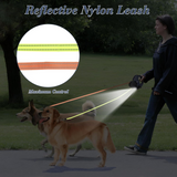 Twin Trail Dual Dog Leash — Reflective, 360° Swivel