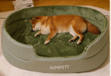 Cloudrest Orthopedic Dog Bed — Washable Cover