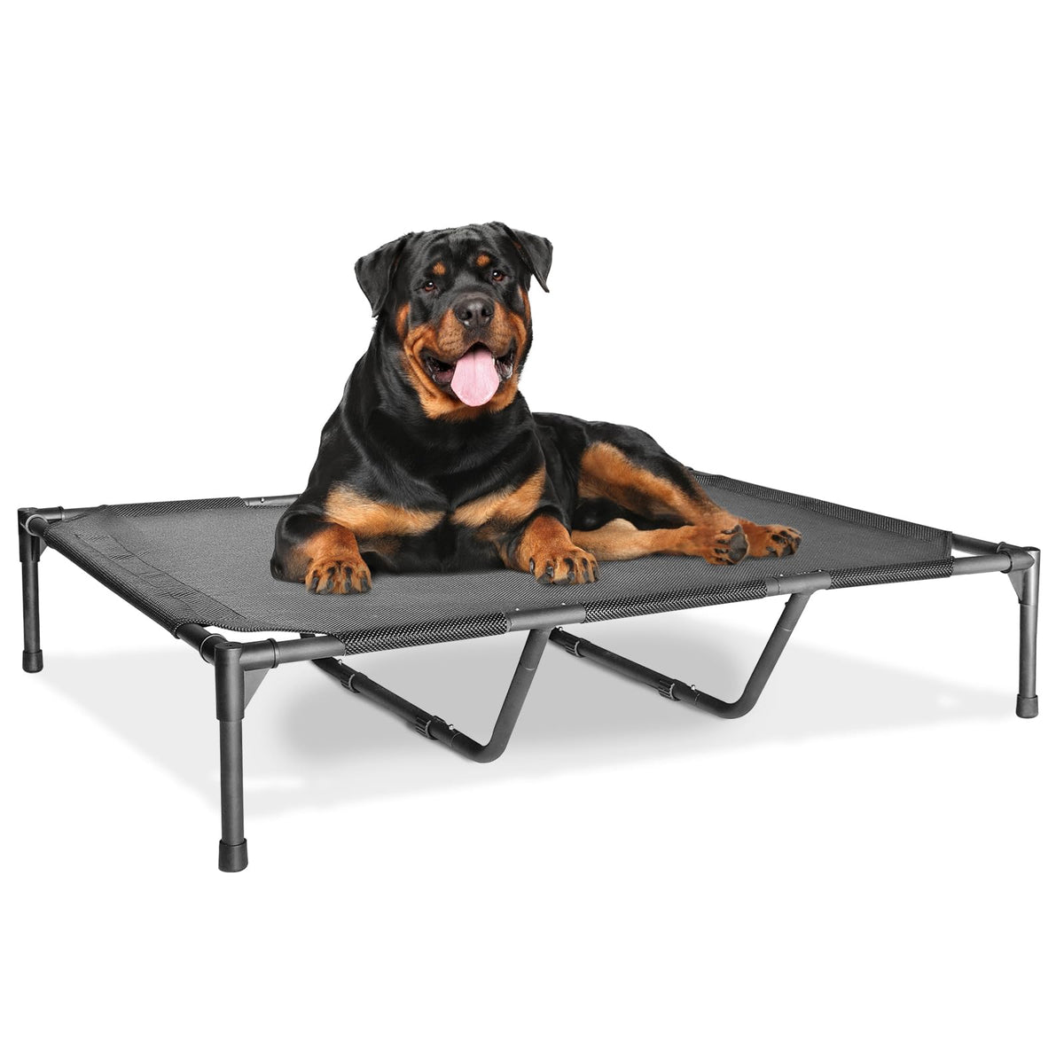 Pack & Pine Breeze elevated cooling dog bed
