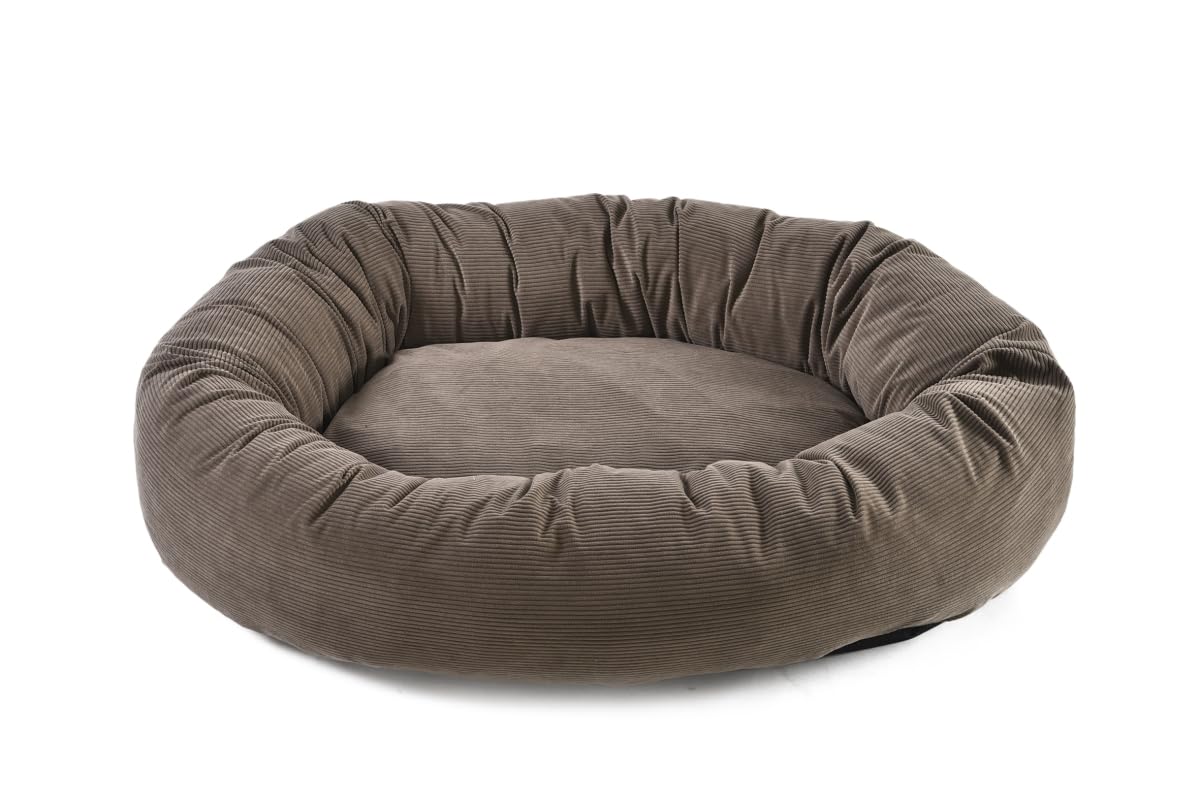 Lounge Couch Bed — Rest