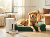 The Big Dog Starter Kit — orthopedic bed, no-pull harness and automatic feeder